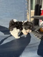 processed/581c150f-65ff-426a-9652-a14bd1f228e6/listing/c6170025-4e92-4243-9784-058e1866f40a/66f00d5d-e5fc-4688-b245-036bd5708f78