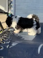 processed/581c150f-65ff-426a-9652-a14bd1f228e6/listing/c6170025-4e92-4243-9784-058e1866f40a/771a21b5-b1b0-4f20-a24b-a8f9c720ffea