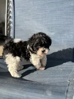 processed/581c150f-65ff-426a-9652-a14bd1f228e6/listing/c6170025-4e92-4243-9784-058e1866f40a/c80c7860-da99-41e7-8501-b2c280b7ca44