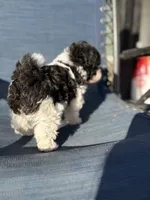 processed/581c150f-65ff-426a-9652-a14bd1f228e6/listing/c6170025-4e92-4243-9784-058e1866f40a/d4f2774e-ac80-44ca-b149-6f57335adafa