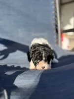 processed/581c150f-65ff-426a-9652-a14bd1f228e6/listing/d8fc38b5-f911-4de0-8ec7-fa77f200849e/2729f731-eea0-4c2b-895d-8a87cb0d02c2