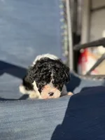 processed/581c150f-65ff-426a-9652-a14bd1f228e6/listing/d8fc38b5-f911-4de0-8ec7-fa77f200849e/4d00c2d2-f5c3-4aed-901c-91d0f30ca19e