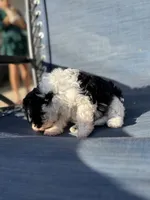 processed/581c150f-65ff-426a-9652-a14bd1f228e6/listing/d8fc38b5-f911-4de0-8ec7-fa77f200849e/daa3eae7-9b09-455e-8853-0c82d42a11be