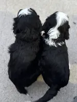 processed/583b92fe-7995-43bb-a485-3711fc1de832/facility/6bc8c90d-4b17-4892-ab99-142deb097c6a