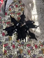 processed/583b92fe-7995-43bb-a485-3711fc1de832/facility/cc56c24e-dc96-434f-8613-3a98e0dadb39