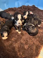 processed/583b92fe-7995-43bb-a485-3711fc1de832/facility/df95b3eb-4faa-4af6-be5b-2ed9e8500d20