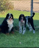 processed/583b92fe-7995-43bb-a485-3711fc1de832/facility/fc21360f-9659-40c6-9958-efec1e4c0577