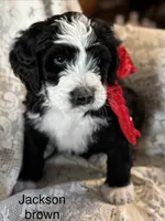 processed/583b92fe-7995-43bb-a485-3711fc1de832/listing/54a7f8cc-740d-4821-a18d-be4290fb73a1/69c2ea8b-7773-496d-b6eb-8a71fc4b0a48