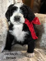 processed/583b92fe-7995-43bb-a485-3711fc1de832/listing/54a7f8cc-740d-4821-a18d-be4290fb73a1/f0ff9e66-67eb-4a2e-a69f-97e9211c2528