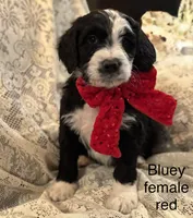 processed/583b92fe-7995-43bb-a485-3711fc1de832/listing/6c1702c9-2df3-4233-a888-fbe6d857cfae/861db98b-7c8c-46c7-96d2-cfa1bbfcfb0c