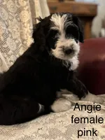 processed/583b92fe-7995-43bb-a485-3711fc1de832/listing/7f54f958-bce5-4773-bb47-524e90539699/3eaace33-0ebd-4f9f-ba76-316d584b8362