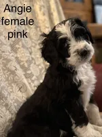 processed/583b92fe-7995-43bb-a485-3711fc1de832/listing/7f54f958-bce5-4773-bb47-524e90539699/707dc302-7b35-41a8-95db-93a0053ec81f