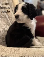 processed/583b92fe-7995-43bb-a485-3711fc1de832/listing/7fabd85d-f105-4bde-b2e5-6314ac3b2cf7/cbb7800b-c2de-4827-954d-06a2833c2331