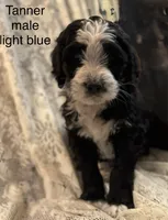 processed/583b92fe-7995-43bb-a485-3711fc1de832/listing/d61d92e8-05e6-430b-bdf1-220442ffaf71/9fbccc40-2646-4f67-bd4b-de9187e2fefc