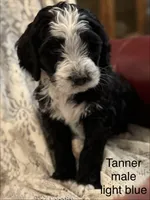 processed/583b92fe-7995-43bb-a485-3711fc1de832/listing/d61d92e8-05e6-430b-bdf1-220442ffaf71/a15a0d01-c424-4ec0-88ca-68502cb4a7bf