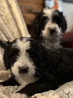 processed/583b92fe-7995-43bb-a485-3711fc1de832/listing/dc991ce7-d51a-4c4f-b154-6ad311214aa1/fa0a4f2a-ae42-4246-945d-47c3ef211b04