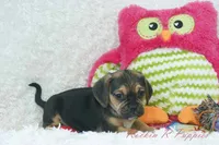 processed/583ff4a9-3c1f-464b-a17e-96990d63fcee/listing/009a373a-fe90-4aa4-b21b-d416d7c18c8c/16b9f144-ac59-4407-af66-53d0a620cb04