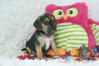 processed/583ff4a9-3c1f-464b-a17e-96990d63fcee/listing/009a373a-fe90-4aa4-b21b-d416d7c18c8c/668ee738-808b-441e-94ea-feb27afa4a88