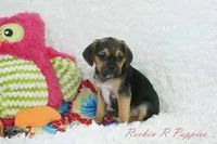 processed/583ff4a9-3c1f-464b-a17e-96990d63fcee/listing/009a373a-fe90-4aa4-b21b-d416d7c18c8c/761fa6ba-253c-4ee2-9319-7e773454d8c3