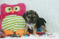 processed/583ff4a9-3c1f-464b-a17e-96990d63fcee/listing/009a373a-fe90-4aa4-b21b-d416d7c18c8c/9c33a611-b137-4b91-9c0b-a57e3d7941b5