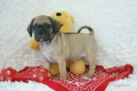 processed/583ff4a9-3c1f-464b-a17e-96990d63fcee/listing/771ea899-c3e0-4209-a8b1-c6cd0d142a33/4188c65f-fdd8-491a-a3ee-e7440ecd688f