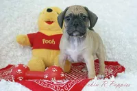 processed/583ff4a9-3c1f-464b-a17e-96990d63fcee/listing/771ea899-c3e0-4209-a8b1-c6cd0d142a33/d335b575-fcda-41ee-bdb6-0262ece58d07