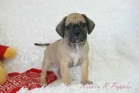 processed/583ff4a9-3c1f-464b-a17e-96990d63fcee/listing/771ea899-c3e0-4209-a8b1-c6cd0d142a33/e252641c-1a8d-4e84-8159-8daef43b0d1f