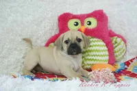 processed/583ff4a9-3c1f-464b-a17e-96990d63fcee/listing/9e5fc8ab-bc70-4241-865d-9842bb968603/0f648489-bf5f-4b87-a56d-bb27b7e2924f