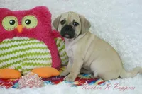 processed/583ff4a9-3c1f-464b-a17e-96990d63fcee/listing/9e5fc8ab-bc70-4241-865d-9842bb968603/11c5e488-7ddb-48d3-8cee-b11d52043a55