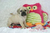 processed/583ff4a9-3c1f-464b-a17e-96990d63fcee/listing/9e5fc8ab-bc70-4241-865d-9842bb968603/37072b65-68f5-4146-9a45-376465962370