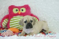 processed/583ff4a9-3c1f-464b-a17e-96990d63fcee/listing/9e5fc8ab-bc70-4241-865d-9842bb968603/664cc5d0-49dd-45fd-af25-2dfe0ca17b59