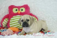 processed/583ff4a9-3c1f-464b-a17e-96990d63fcee/listing/9e5fc8ab-bc70-4241-865d-9842bb968603/981b59eb-9e96-4f5c-8261-cc0fdfe44122