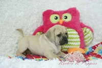 processed/583ff4a9-3c1f-464b-a17e-96990d63fcee/listing/9e5fc8ab-bc70-4241-865d-9842bb968603/cce1a6ed-eb71-43ae-be0a-e16e70436282