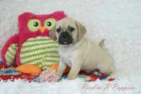 processed/583ff4a9-3c1f-464b-a17e-96990d63fcee/listing/9e5fc8ab-bc70-4241-865d-9842bb968603/da4b2bdc-0c56-4549-b51b-56ff4aa86e48