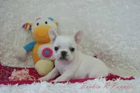 processed/583ff4a9-3c1f-464b-a17e-96990d63fcee/listing/cefe31b6-477b-42b8-975e-25261ecf4896/0f01a253-9c0b-4d1a-afe4-7e6fd88018d5