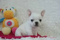 processed/583ff4a9-3c1f-464b-a17e-96990d63fcee/listing/cefe31b6-477b-42b8-975e-25261ecf4896/6124048d-3409-494b-8abf-2b0b5cb7ebb8