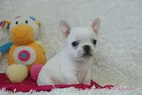 processed/583ff4a9-3c1f-464b-a17e-96990d63fcee/listing/cefe31b6-477b-42b8-975e-25261ecf4896/c232b661-4576-415d-81a7-313229acb6d6