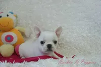 processed/583ff4a9-3c1f-464b-a17e-96990d63fcee/listing/cefe31b6-477b-42b8-975e-25261ecf4896/c41438eb-c8a8-4fb5-92dd-c7945e4e1d9f