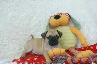 processed/583ff4a9-3c1f-464b-a17e-96990d63fcee/listing/fedf011a-cf6a-44c2-a7bd-6fbe229341e1/4a2d0e57-54fe-42f6-a349-43bb8e04dc1a