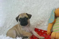 processed/583ff4a9-3c1f-464b-a17e-96990d63fcee/listing/fedf011a-cf6a-44c2-a7bd-6fbe229341e1/bf0525a4-7202-4430-ad4a-be164704bc77