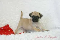 processed/583ff4a9-3c1f-464b-a17e-96990d63fcee/listing/fedf011a-cf6a-44c2-a7bd-6fbe229341e1/c279d2e6-dbbf-482e-88f9-3ca99113b4b7