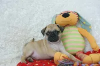 processed/583ff4a9-3c1f-464b-a17e-96990d63fcee/listing/fedf011a-cf6a-44c2-a7bd-6fbe229341e1/de337c85-7569-4aaf-8f61-f871815552ad