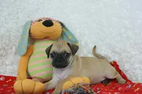 processed/583ff4a9-3c1f-464b-a17e-96990d63fcee/listing/fedf011a-cf6a-44c2-a7bd-6fbe229341e1/f0770159-10ae-437e-ab12-ac4b2a10a407