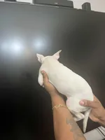 processed/58519de8-d9c5-414b-abf1-95e0d456019f/listing/7b6398c9-5aa7-4186-90aa-1a5f8a80b3ee/64db9b1b-652c-4dcb-82ec-54d5424cd894