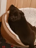 processed/58610c29-7b08-4b7c-b3d2-0549442f12ee/listing/75f15747-187f-4810-8a56-019857a4a123/b14febe4-f7e0-4345-acbf-e838585fee0b