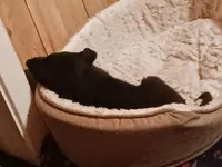 processed/58610c29-7b08-4b7c-b3d2-0549442f12ee/listing/75f15747-187f-4810-8a56-019857a4a123/e19030b4-a8e4-451c-b046-13d305e0f7ca