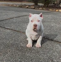 processed/58616606-9f1e-48b9-9b3e-ed6762f53c78/listing/2abf966c-fe67-4af3-b57b-a3c6a60692d2/0e5f2ebf-5640-491d-9281-b02b18e83920