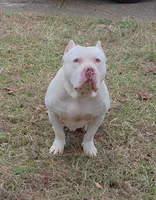 processed/58616606-9f1e-48b9-9b3e-ed6762f53c78/listing/2abf966c-fe67-4af3-b57b-a3c6a60692d2/7f5c88ee-4d9e-4fff-8dd2-30450d55626a