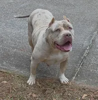 processed/58616606-9f1e-48b9-9b3e-ed6762f53c78/listing/2abf966c-fe67-4af3-b57b-a3c6a60692d2/f81f63ba-bb99-4de5-818e-075cd79c4565