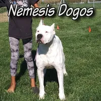 processed/5861f46e-4ded-4b51-9571-81432712b7d2/facility/077462b5-850a-43e1-88b1-c57ed0ce422b